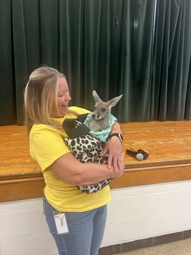 Kangeroo