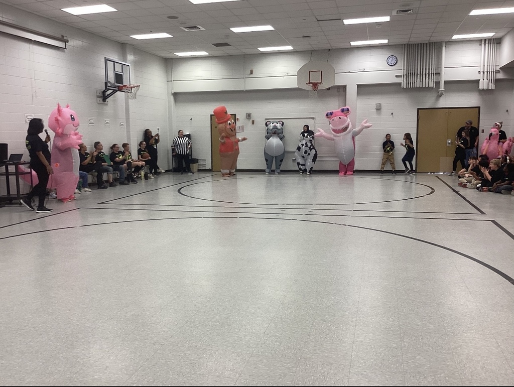 Mascot Race