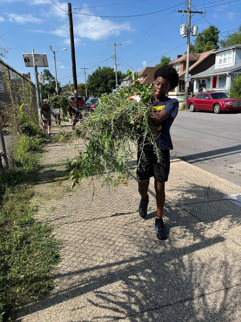 A student carries weeds down a sidewalk.