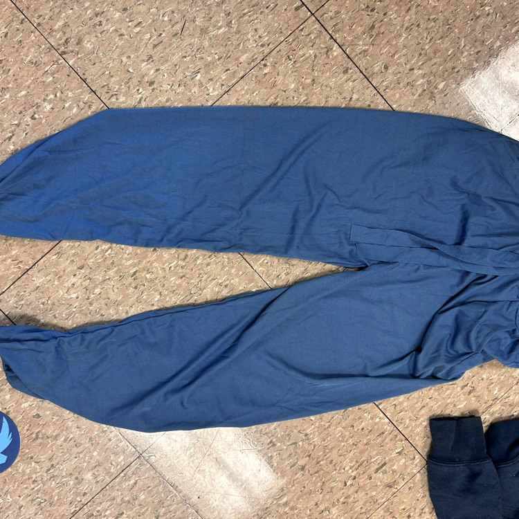 Lost pants