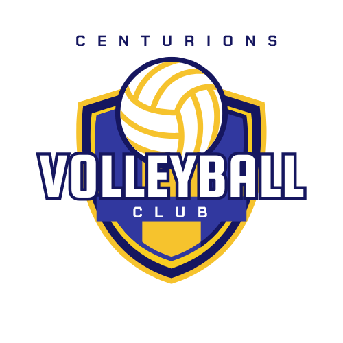 volleyball logo