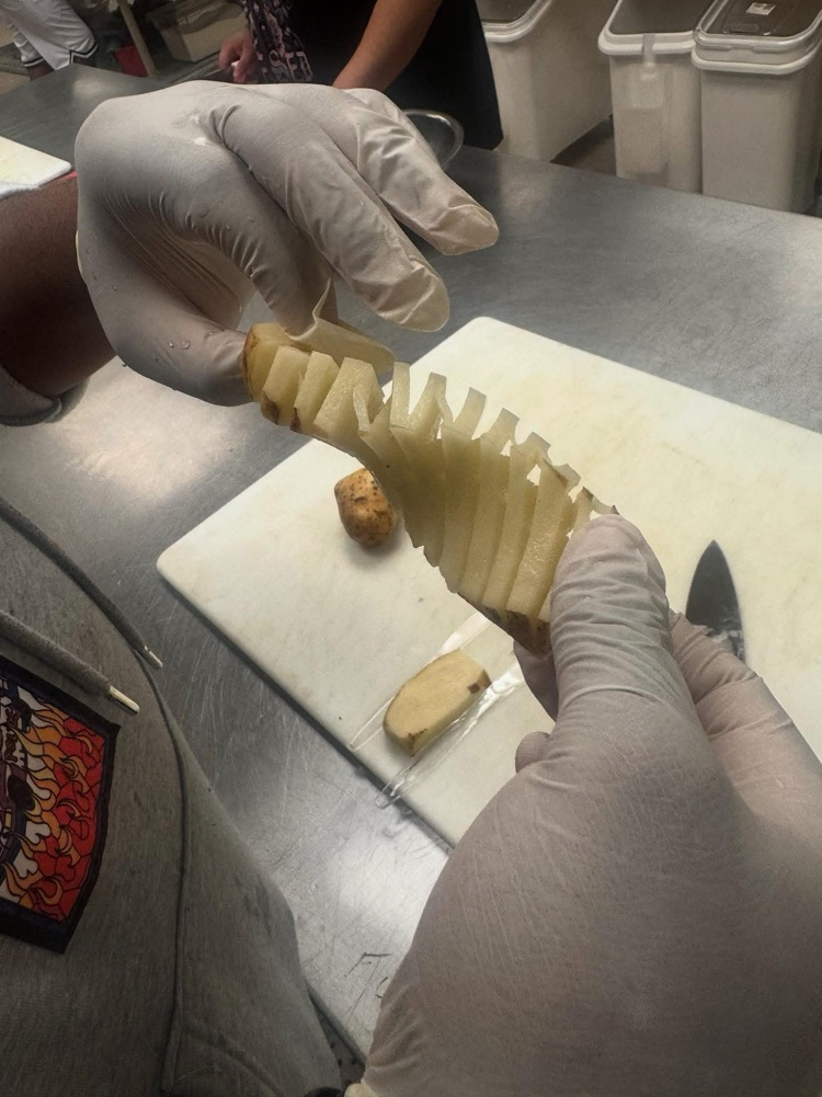 culinary student students practicing knife skills