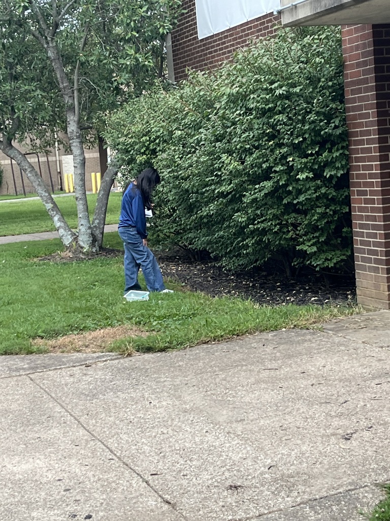 outside