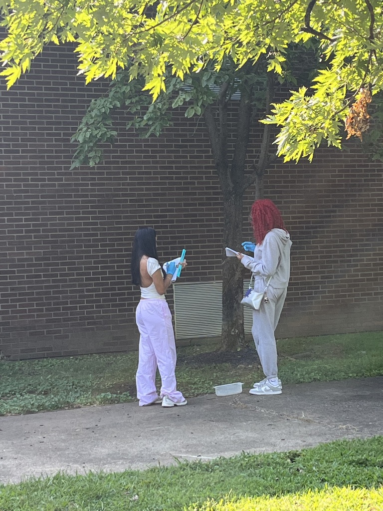 outside