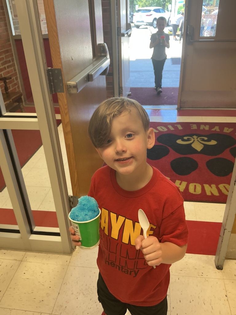Kona Ice