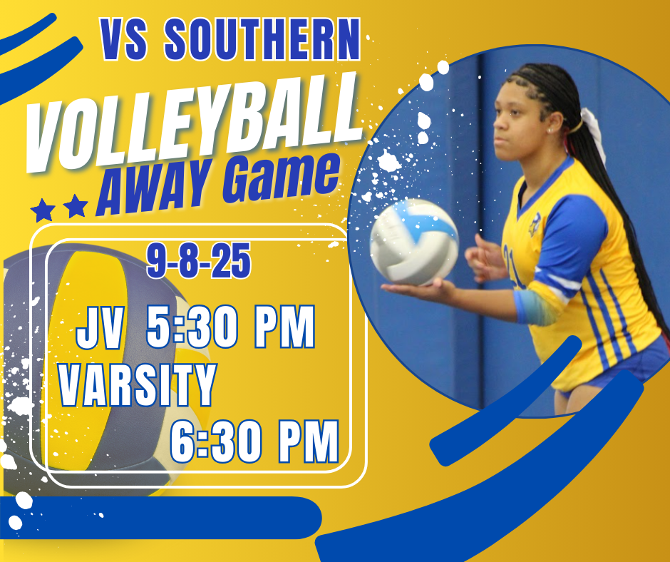 Volleyball Game