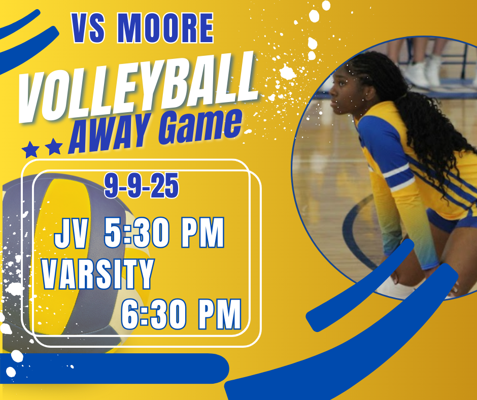Volleyball Game (2)