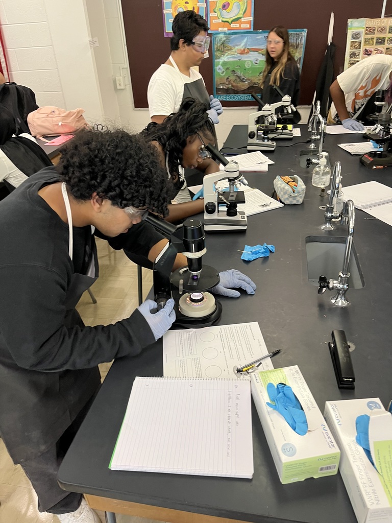 microscope