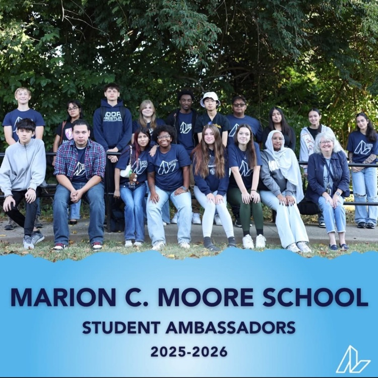school ambassadors