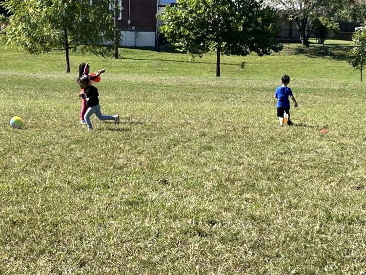 Field Day!