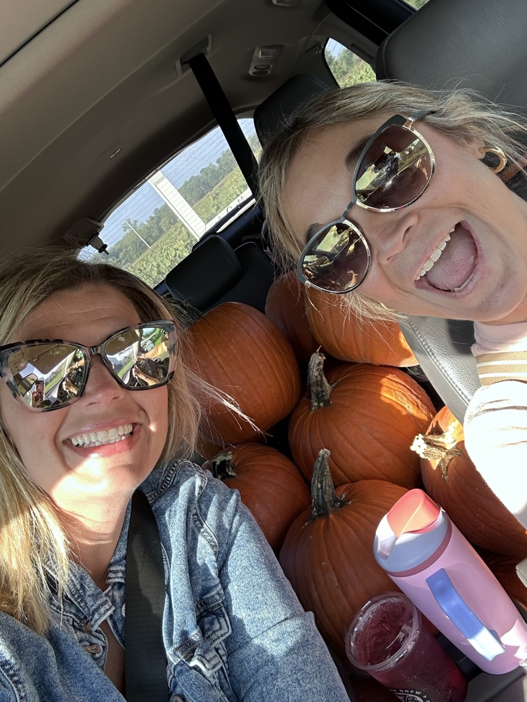 pumpkin pumpkin 