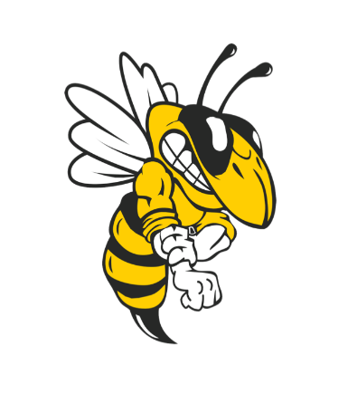 yellow jackets