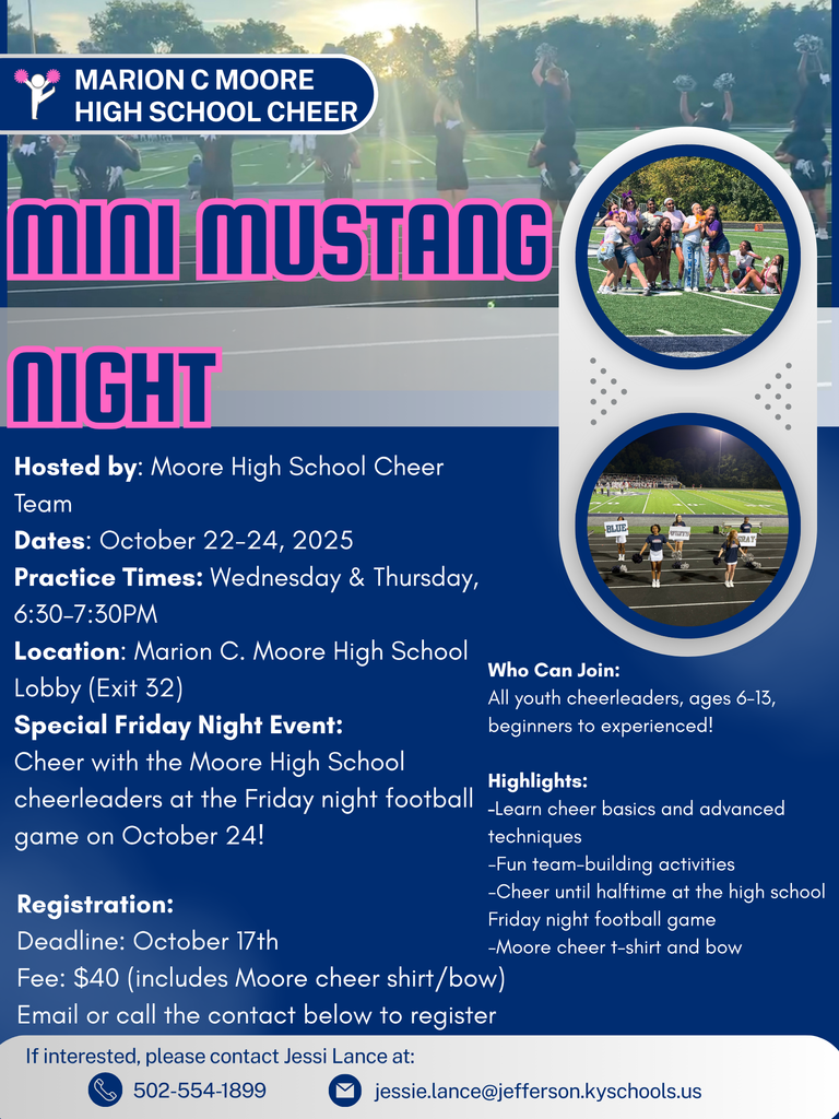mini mustangs night