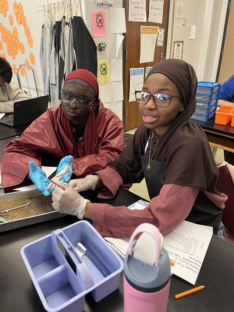 What a day for our Anatomy students! 🔬 They completed their first official dissection, closely examining all four primary tissue types: epithelium, connective, muscular, and nervous tissue. The coolest part? They learned the difference between tendons and ligaments firsthand by pulling on the foot's tendons to watch the phalanges (toes!) move. Talk about hands-on learning! 🤯 Anatomy Chargers are dissecting their way to success! 💙⚡️