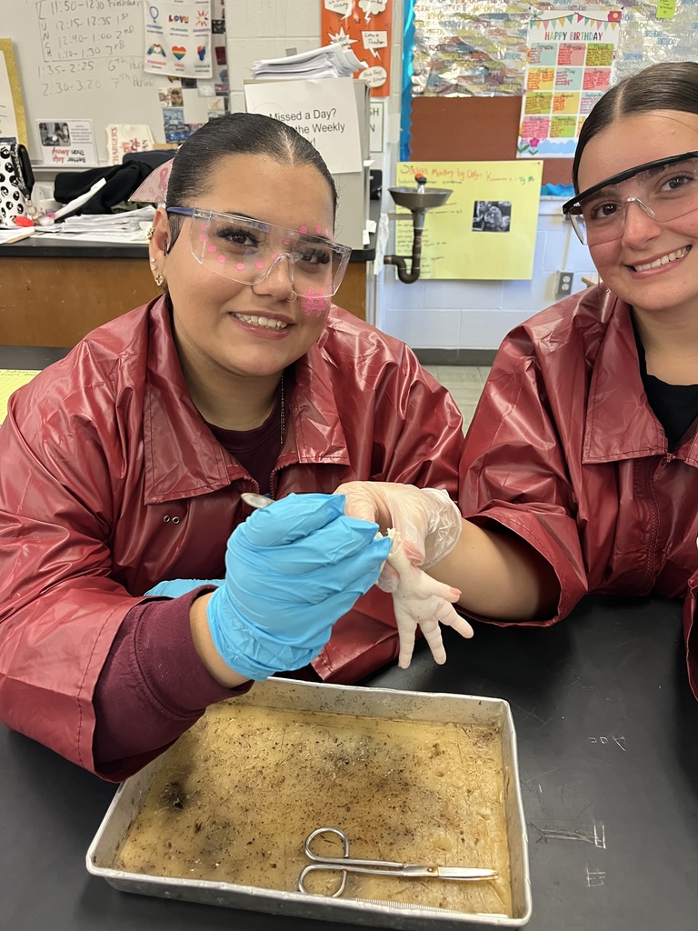What a day for our Anatomy students! 🔬 They completed their first official dissection, closely examining all four primary tissue types: epithelium, connective, muscular, and nervous tissue. The coolest part? They learned the difference between tendons and ligaments firsthand by pulling on the foot's tendons to watch the phalanges (toes!) move. Talk about hands-on learning! 🤯 Anatomy Chargers are dissecting their way to success! 💙⚡️