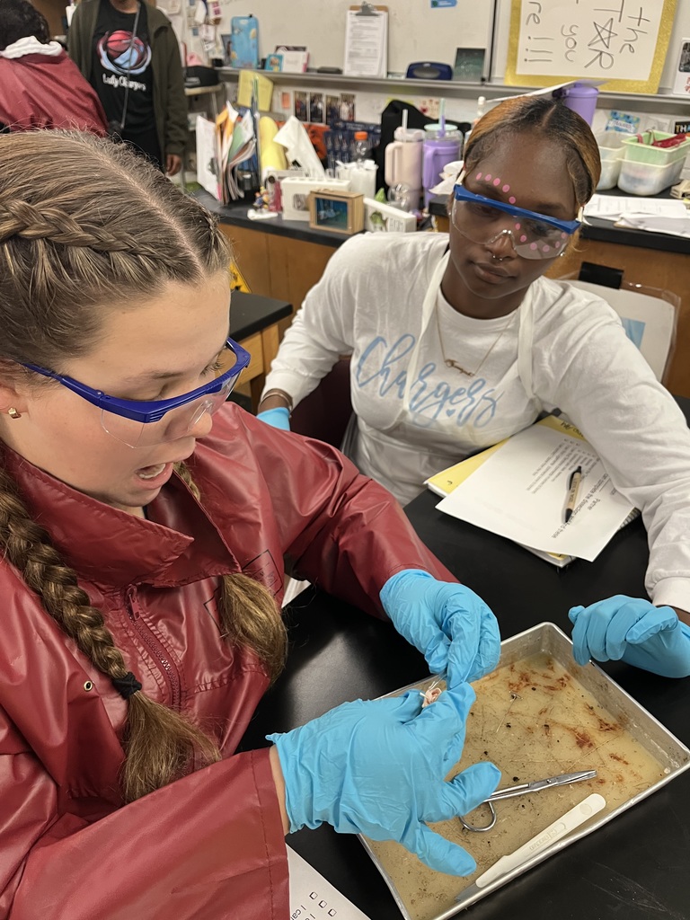 What a day for our Anatomy students! 🔬 They completed their first official dissection, closely examining all four primary tissue types: epithelium, connective, muscular, and nervous tissue. The coolest part? They learned the difference between tendons and ligaments firsthand by pulling on the foot's tendons to watch the phalanges (toes!) move. Talk about hands-on learning! 🤯 Anatomy Chargers are dissecting their way to success! 💙⚡️