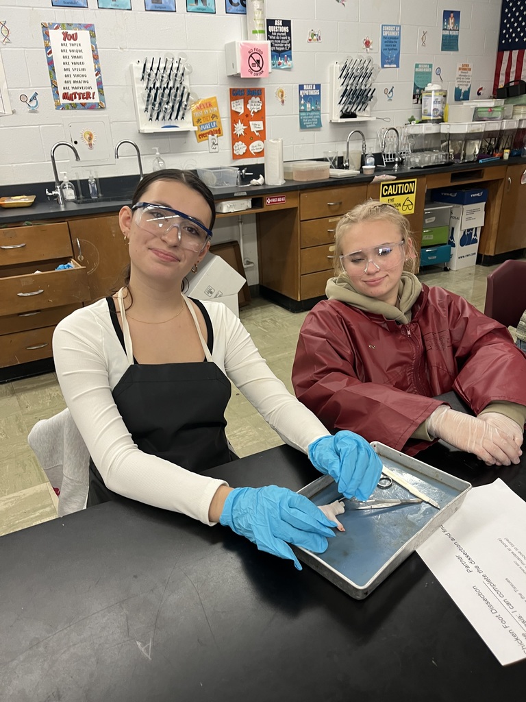 What a day for our Anatomy students! 🔬 They completed their first official dissection, closely examining all four primary tissue types: epithelium, connective, muscular, and nervous tissue. The coolest part? They learned the difference between tendons and ligaments firsthand by pulling on the foot's tendons to watch the phalanges (toes!) move. Talk about hands-on learning! 🤯 Anatomy Chargers are dissecting their way to success! 💙⚡️