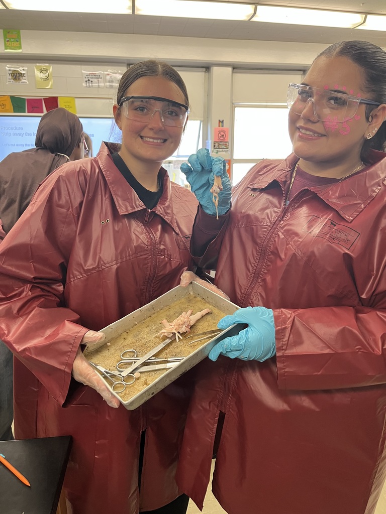 What a day for our Anatomy students! 🔬 They completed their first official dissection, closely examining all four primary tissue types: epithelium, connective, muscular, and nervous tissue. The coolest part? They learned the difference between tendons and ligaments firsthand by pulling on the foot's tendons to watch the phalanges (toes!) move. Talk about hands-on learning! 🤯 Anatomy Chargers are dissecting their way to success! 💙⚡️