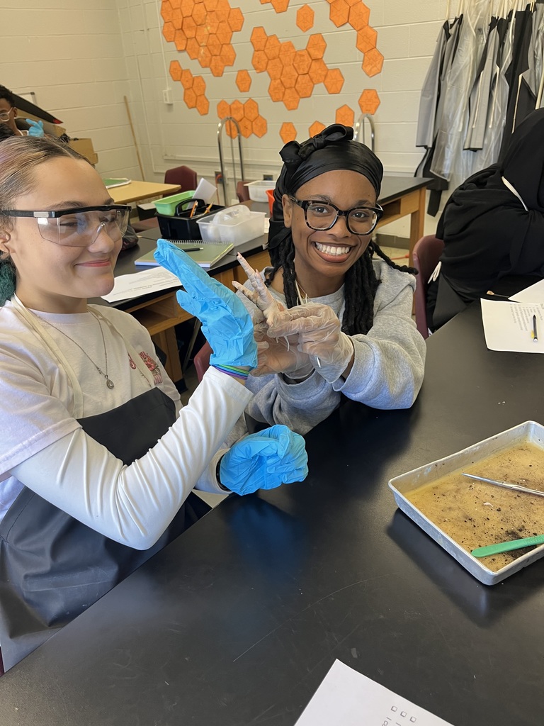 What a day for our Anatomy students! 🔬 They completed their first official dissection, closely examining all four primary tissue types: epithelium, connective, muscular, and nervous tissue. The coolest part? They learned the difference between tendons and ligaments firsthand by pulling on the foot's tendons to watch the phalanges (toes!) move. Talk about hands-on learning! 🤯 Anatomy Chargers are dissecting their way to success! 💙⚡️