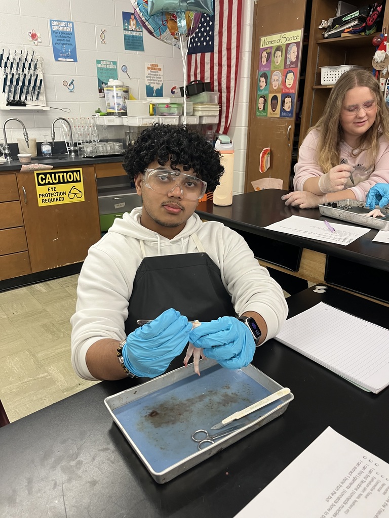 What a day for our Anatomy students! 🔬 They completed their first official dissection, closely examining all four primary tissue types: epithelium, connective, muscular, and nervous tissue. The coolest part? They learned the difference between tendons and ligaments firsthand by pulling on the foot's tendons to watch the phalanges (toes!) move. Talk about hands-on learning! 🤯 Anatomy Chargers are dissecting their way to success! 💙⚡️