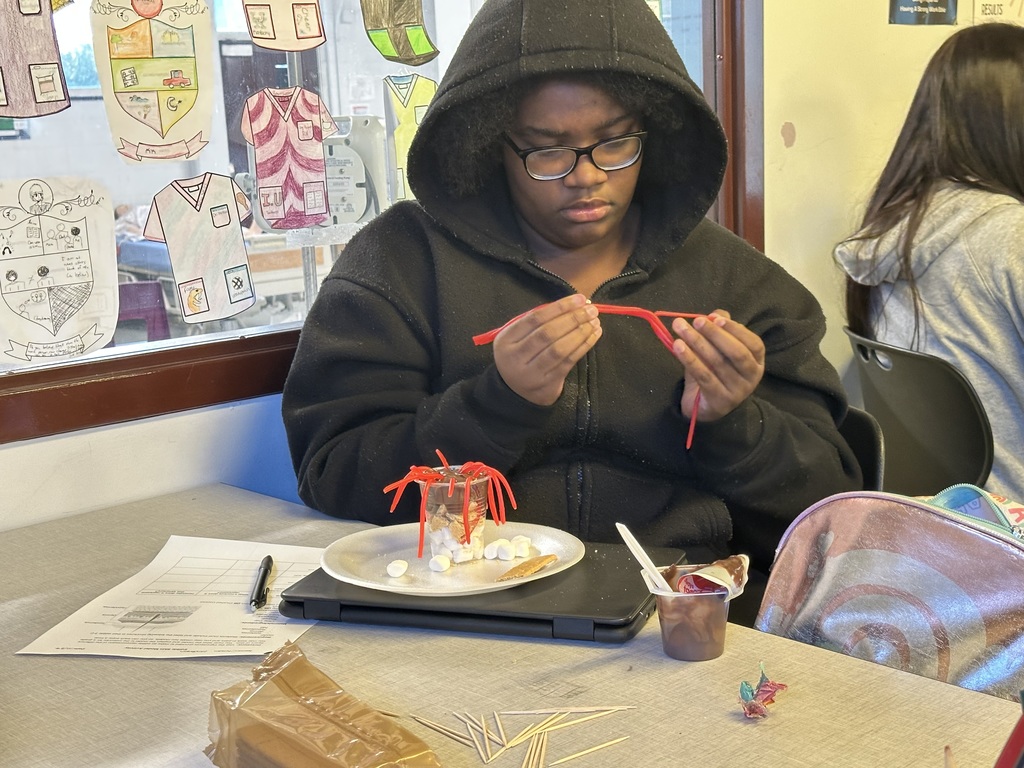 Learning has never been sweeter! 🍬 Our Allied Health students got truly hands-on with the integumentary system today, creating edible skin models to learn about its complex layers.  They built everything from the epidermis down to the hypodermis, proving that anatomy lessons can be both educational and delicious! What a fun way to bring the science of the human body to life! 👏