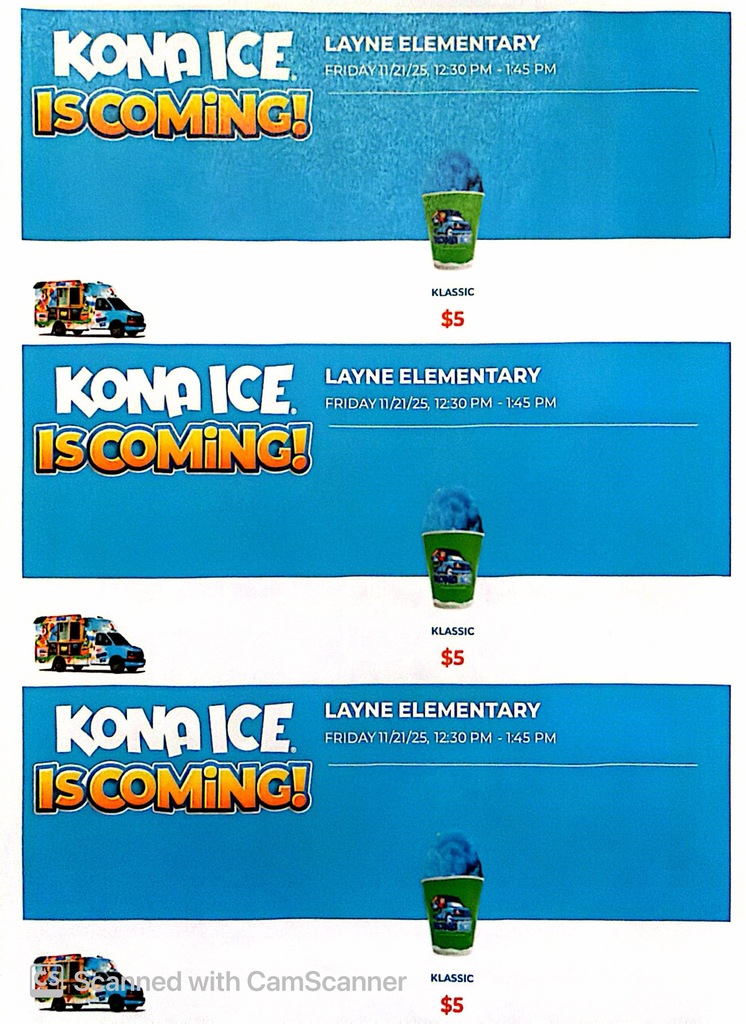 Kona Ice Flyer