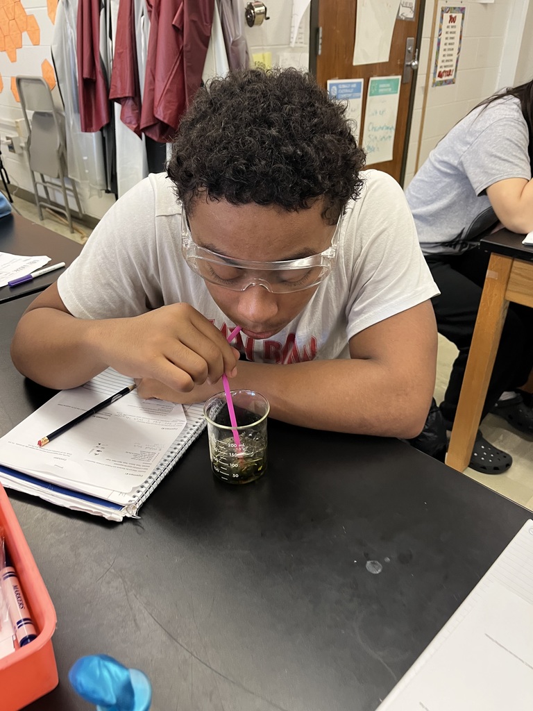 Invisible gas? Not anymore! 🤩 Our BIO classes saw Cellular Respiration in full swing recently. The process produced CO2 💨, which inflated a balloon 🎈, and caused Bromothymol Blue to shift from dark blue 🔵 to green 🟢. A perfect, visual demonstration of how cells generate energy! Way to go, scientists! 🔬🧬