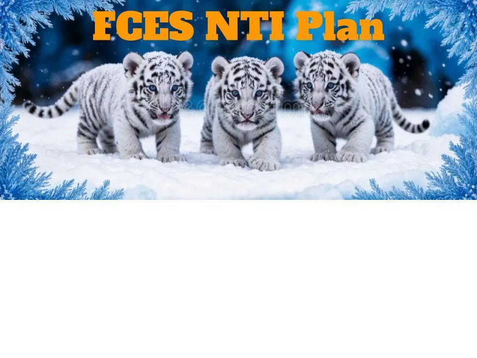 Tigers in Snow