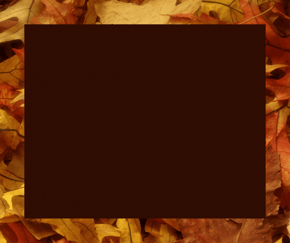 Reminder: No School  Wednesday 11/26, Thursday, 11/27 Friday 11/28