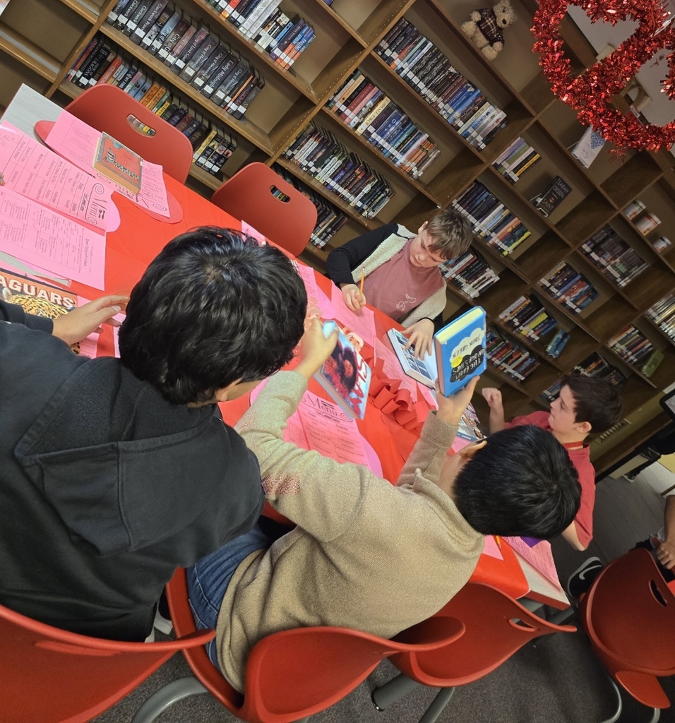 Library Speed Dating for a Book