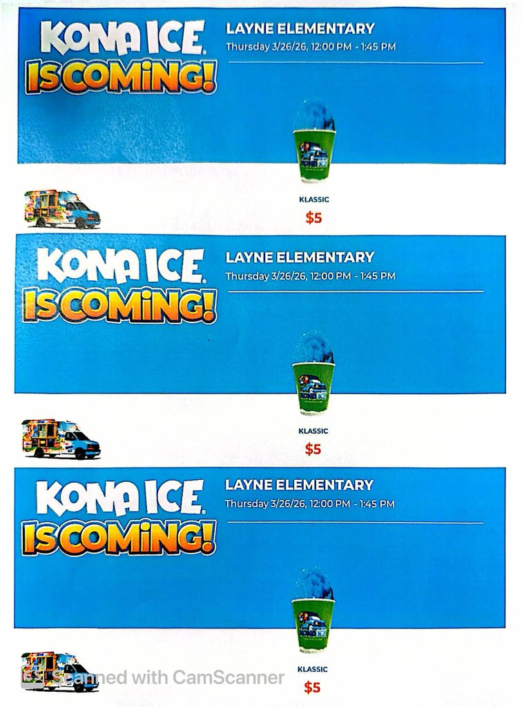 Kona Ice Flyer