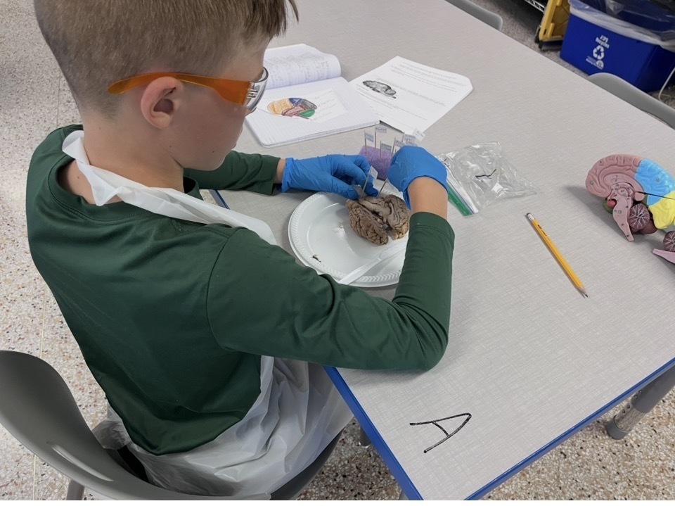 Health Science Class