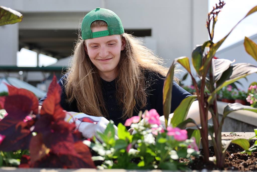A student plants flowers.