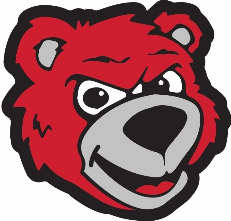 Bear Head Logo