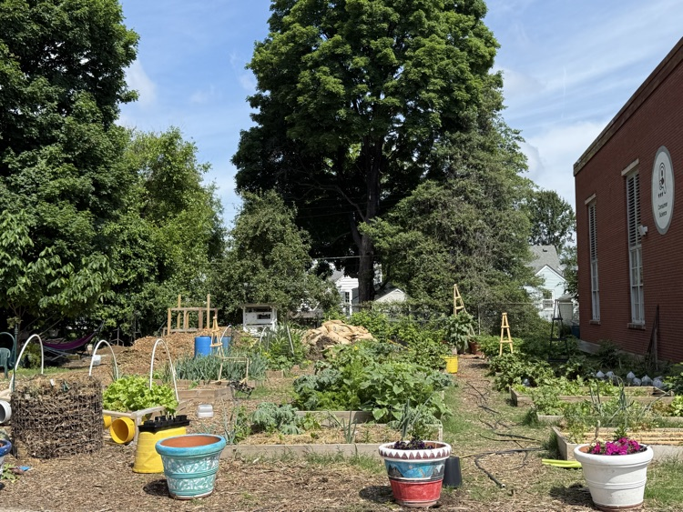 garden