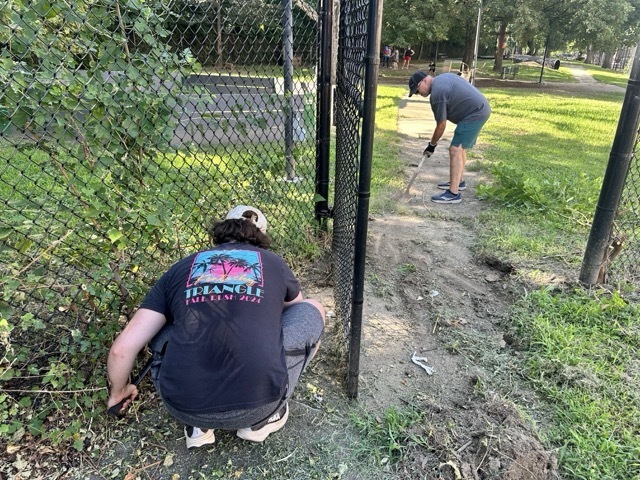 People removing weeds