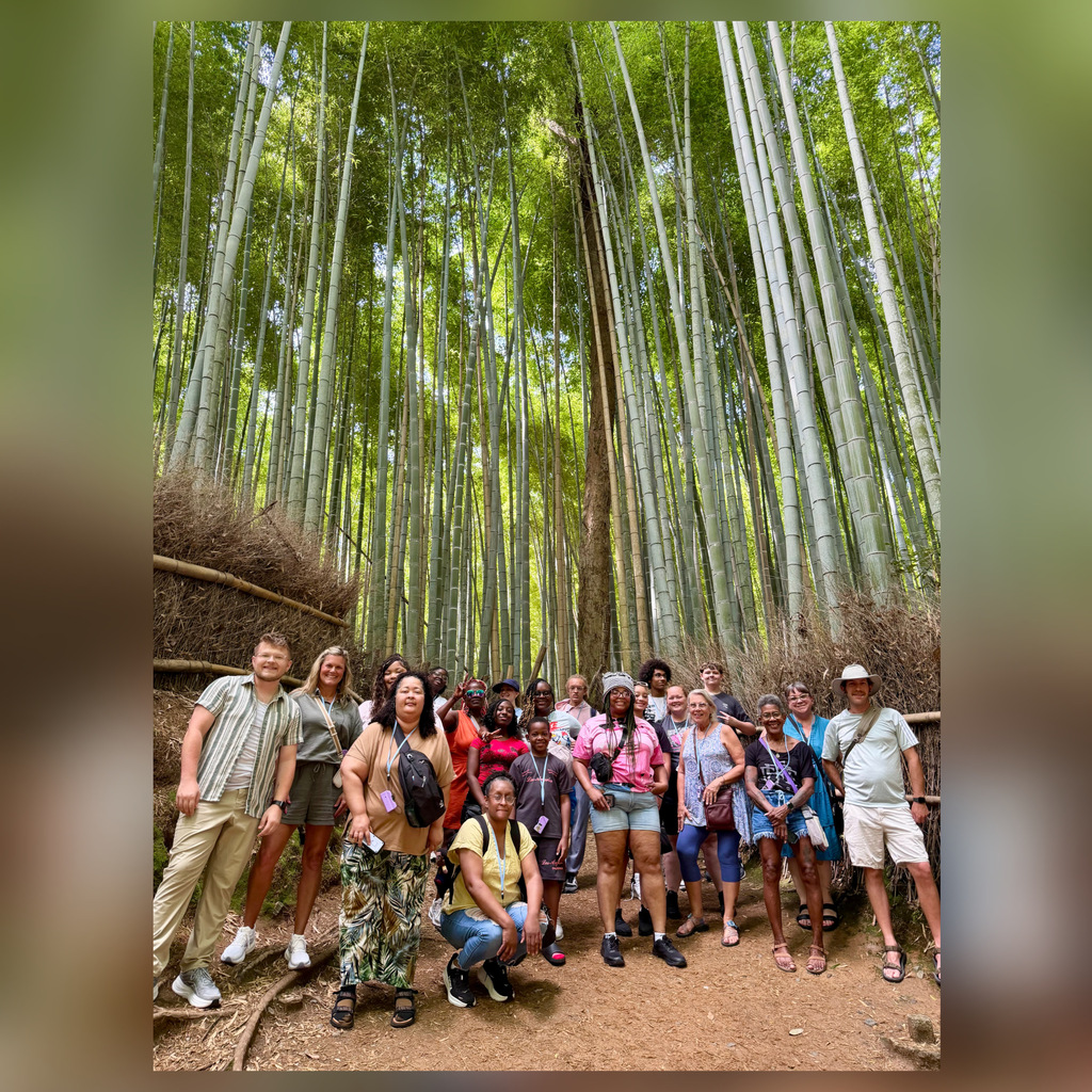 A group of Johnson students and their families at Arashiyama Bamboo Forest in Japan! 🇯🇵