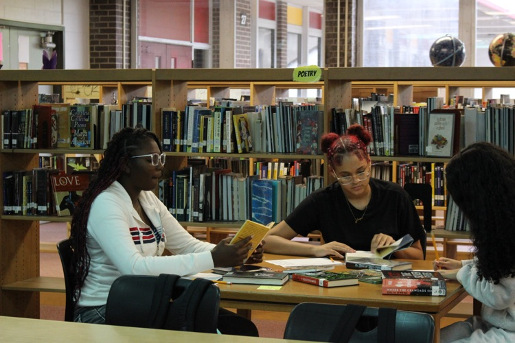 library orientation & speed dating 