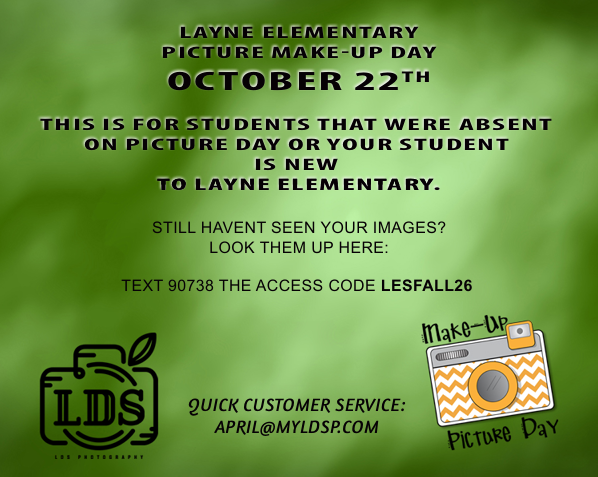 Makeup Fall Picture Day Flyers