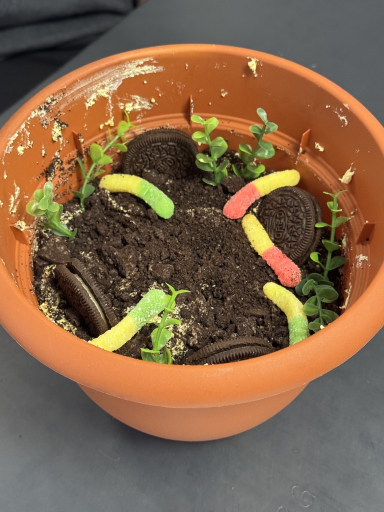 🧪⚗️ It's Mole Day at JTown! Our Chargers recently celebrated Mole Day, bringing a little extra fun to chemistry! 🎉 From exploring Avogadro's number to celebrating the importance of the mole in science, students connected classroom learning to a special day dedicated to chemistry. Who knew 6.02 × 10²³ could be so much fun? 🩵⚡