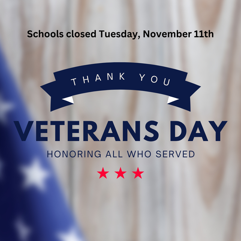 veterans day graphic