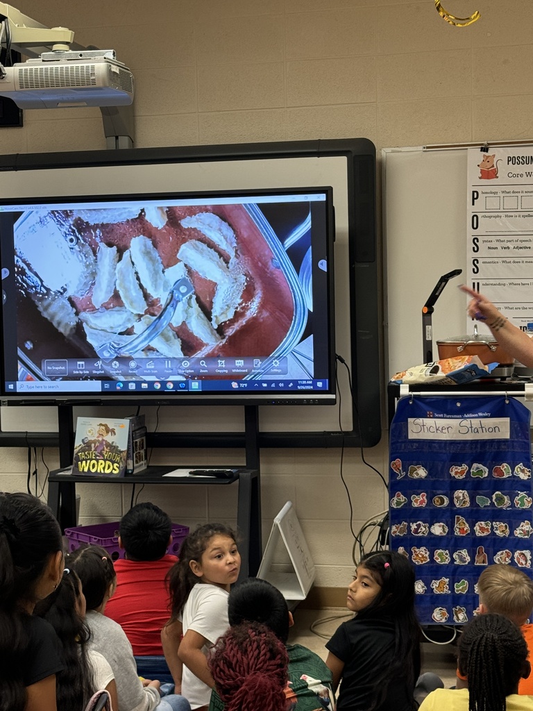 Television showing a skillet with pot stickers cooking  in it