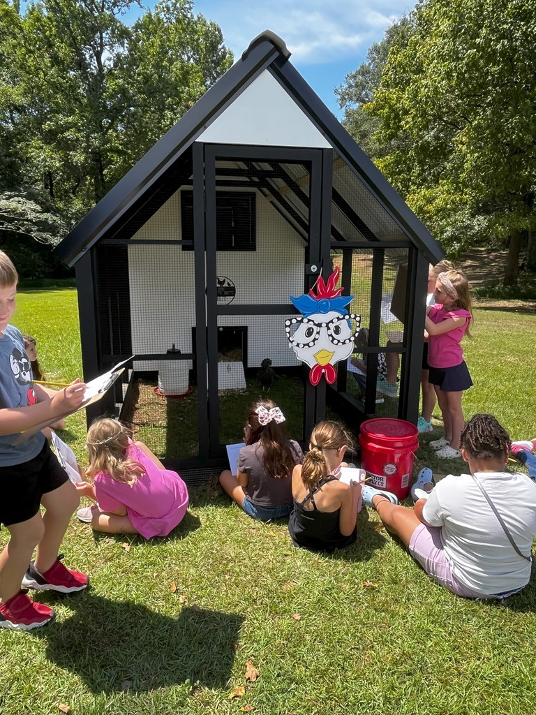 Students visiting the school chicken coop