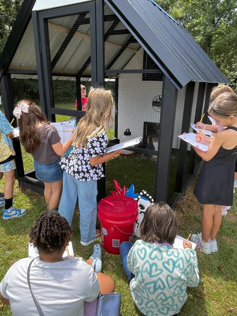 Students visiting the school chicken coop