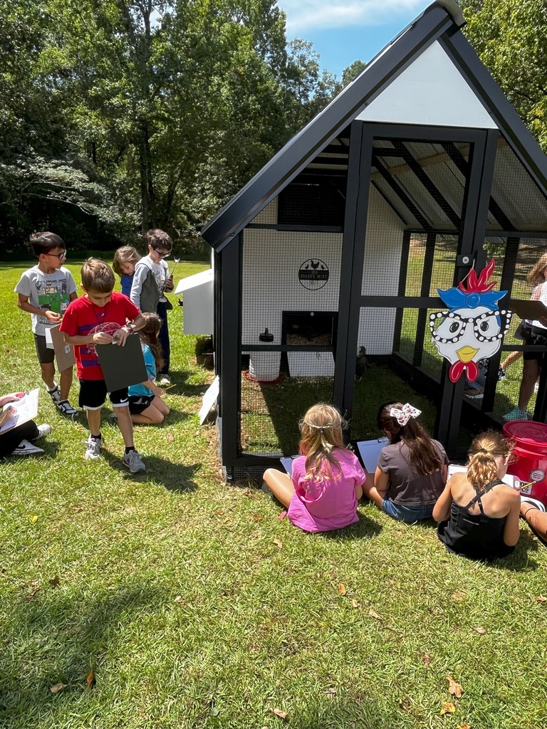 Students visiting the school chicken coop