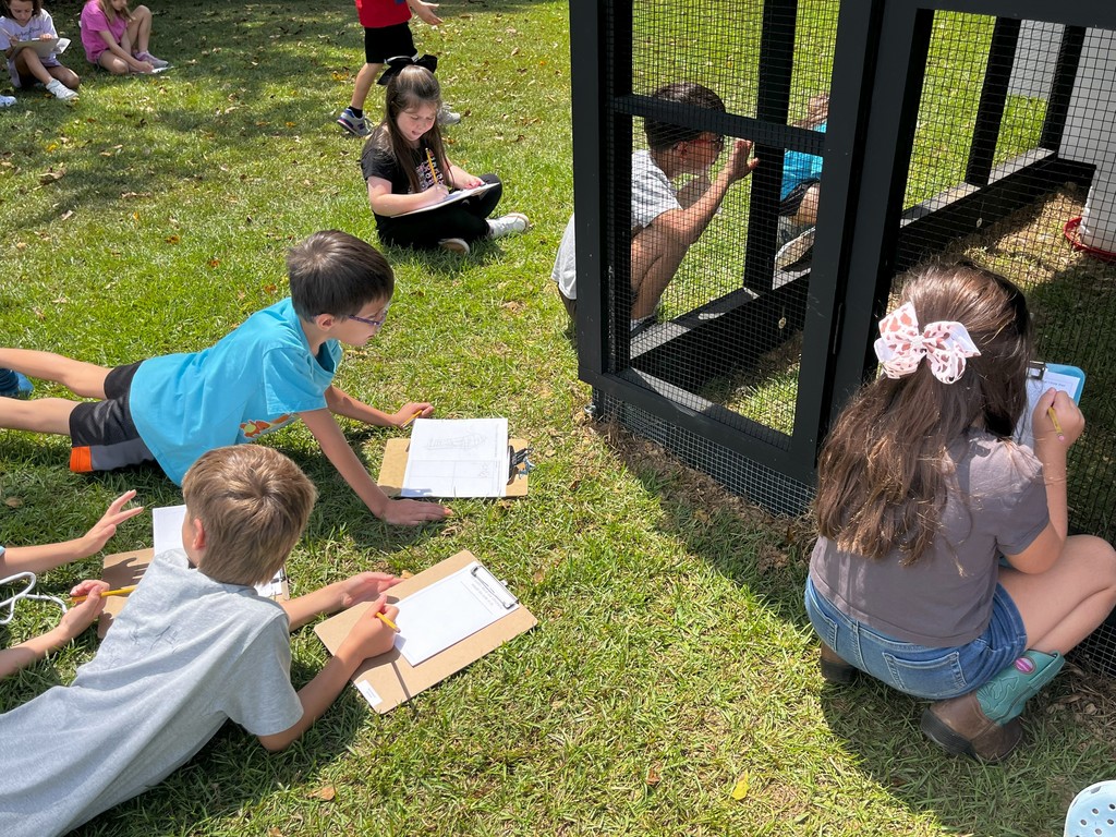 Students visiting the school chicken coop
