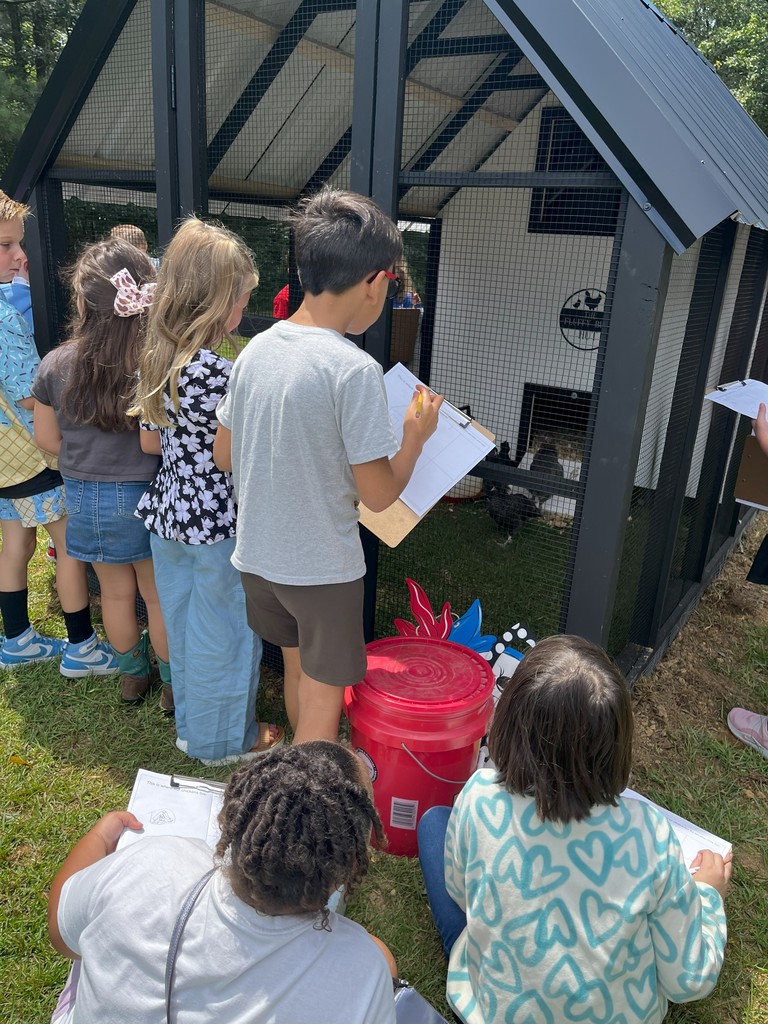 Students visiting the school chicken coop