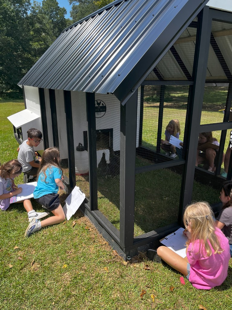 Students visiting the school chicken coop