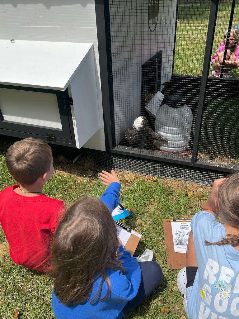 Students visiting the school chicken coop