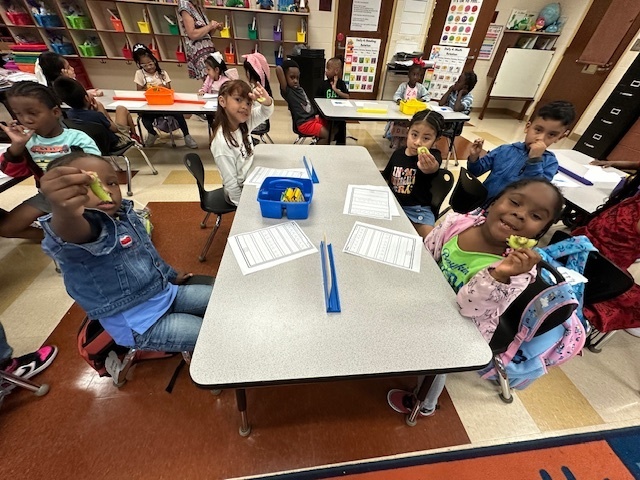 students sitting and holding kiwis